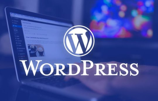 WordPress Nedir, Ne İşe Yarar, Özellikleri Nelerdir